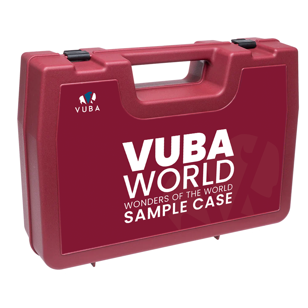 World Sample Case